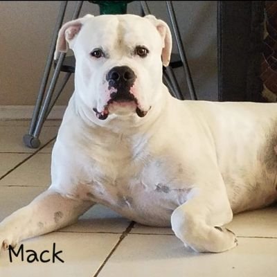 ASanchezs65's profile picture. Chronic Pain, CRPS, MECFS, Autoimmune

Breast ca pt & Cancer Research

Yoga

New Music Artist Dil Sailor.exe
💜✨️🎶💫💜

Gma of 3🩷💙🩷 
Macks Mom💙🐾