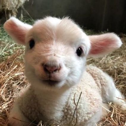 Yuri_Toyama0102's profile picture. 来学画画