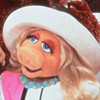 Lari_NC's profile picture. Muppet Fan (@KermitTheFrog @MissPiggy).
 
Autista