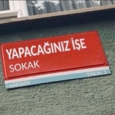 turktentarafim's profile picture. Türk baş kaldırmaz, zira hiç eğmemiştir!🇹🇷