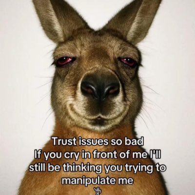 Daniel854185799's profile picture. 