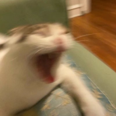 026Mendo's profile picture. 