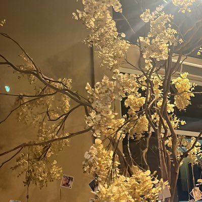 peclaudineydin's profile picture. sulista paranaense e sacerdote do Altíssimo 🤟🏼 degredado filho de Eva