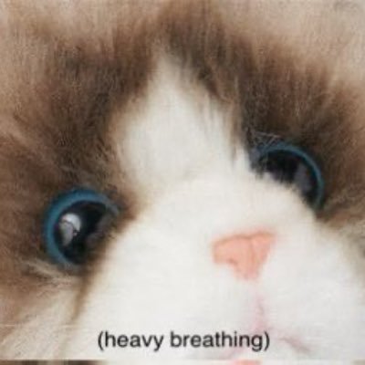 TSThinker13's profile picture. Christmas season is coming