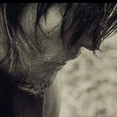 waywardarcher's profile picture. 