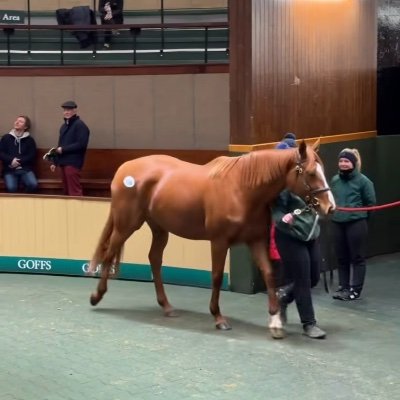 pat_ler's profile picture. https://t.co/mfwvyGzPyq