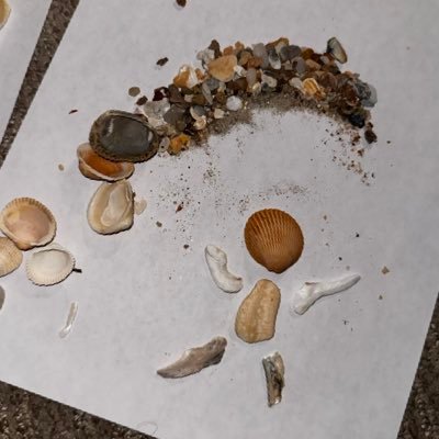 CPTSDandER's profile picture. 