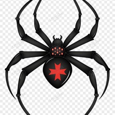 spidercrusader's profile picture. 