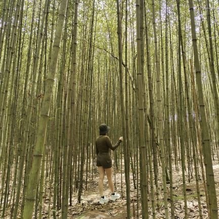 Pha_9494's profile picture. 