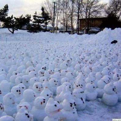 lafleurmtl's profile picture. outdated French Canadian,accordeur de clavecins professionnel.autodidacte boulimique avec mauvaise digestion intellectuelle
Twitter.comsearch