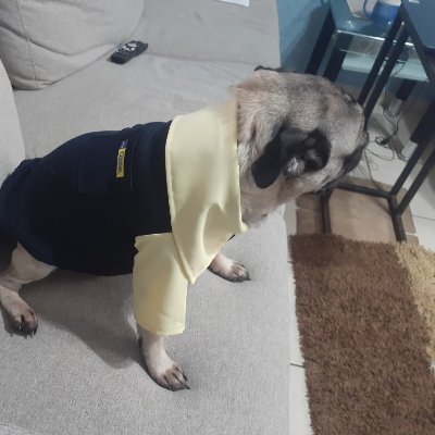 EdgarHdzMX's profile picture. 