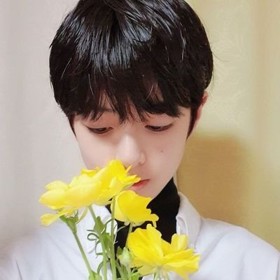 sohyunfut4's profile picture. idid, ahof, cortis, idntt, the wind, tripleS ★