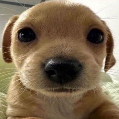 draxcs2's profile picture. 21 | Professional CS2 Player for
✉️ officialdraxcs@gmail.com