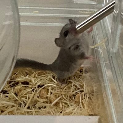 498125RKH's profile picture. SNSデザイン/NC26期生/