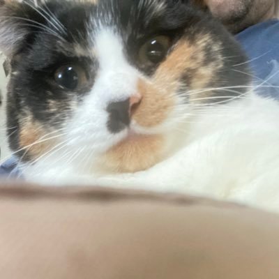 acavbeats's profile picture. 🎷💻👾🦾 Human Learning