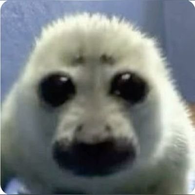 squashthfartist's profile picture. haiiiiii im squash and i draw and say funny stuff
MINOR 
anyways that's it