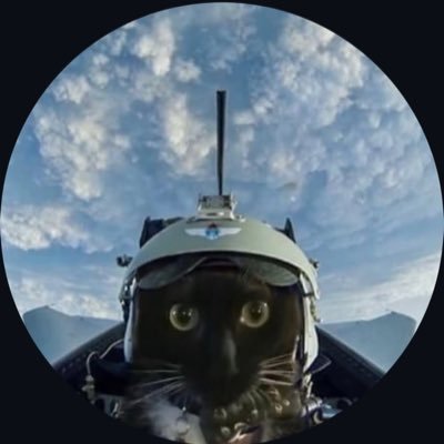 _ageela_'s profile picture. a good life = cats , baseball , and the occasional shark fun fact