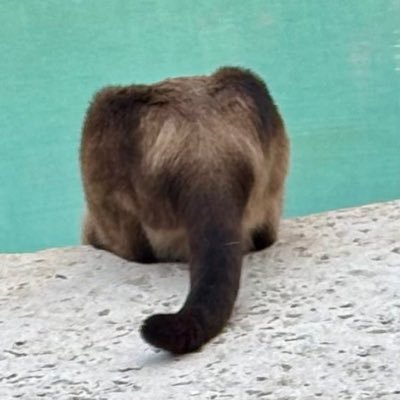 FizzyLizd's profile picture. Sarcasm is to be expected ~ postcards to https://t.co/T2efBSaefx writer with @DemocratWit ~ Democracy is on the line! Vote BLUE up & down the ballot.