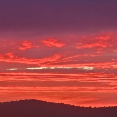 Mzblueyz7's profile picture. 