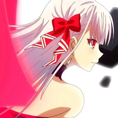 doxieacc's profile picture. 