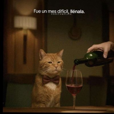 NOTSIW355's profile picture. believes $BOOKEMON I mean, I'll do it by Christmas, Mom. 

G5rL92jwjVdGRbXLzNthExgGe9TwMxz51Mwe1G5ipump