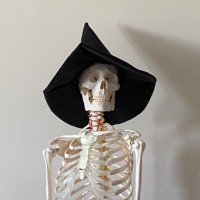 sativa (@mehmetalikessen) 's Twitter Profile Photo