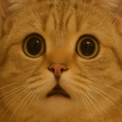 karmamemedev's profile picture. 