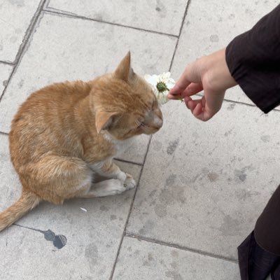 unkknnnnown11's profile picture. idk او امزج الجد بالهزل