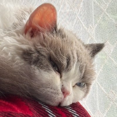 yuukiyabe's profile picture. 