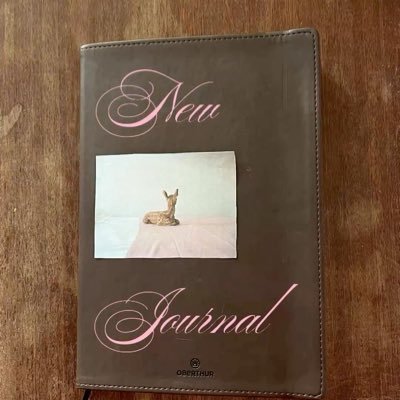 _qoviv's profile picture. 