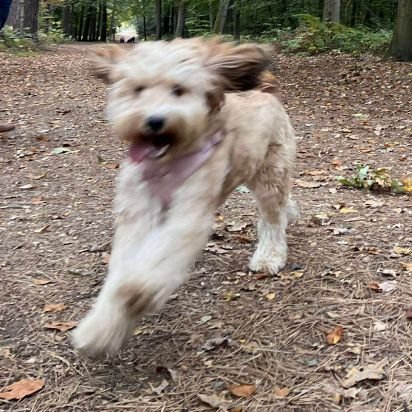 matthewjmartin_'s profile picture. 