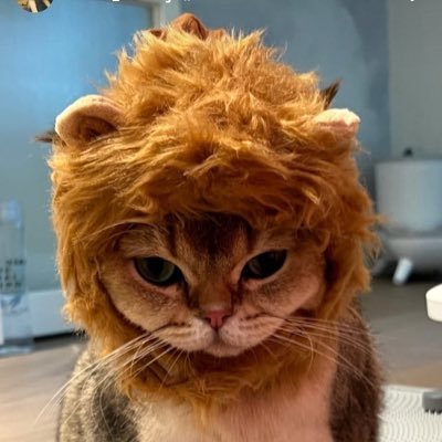 hogpipploveyid's profile picture. 🐈🌥️🐈‍⬛🌤️🦭⚡️🐈FXCK UP THE WORLD🥚