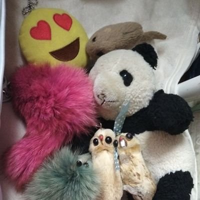 XiyduC's profile picture. キュウ〜💞
ドラクエ(１１シルビア、セニカやニマ大師、メイン💗４のアリーナ等)、FF、マリオのキノピオ、S星矢(特に黄金)、Fateバビロニアのギルガメッシュ王、リベサガ軽歩 ハーバートが好きだよん💃 ♒、🐹、すぎやまこういち♪

雑多に色んな事書き込んでいけたら🌟

よろしく、ヨロシク、宜しくねん🍄🍆