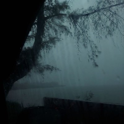 Dagger76115192's profile picture. just a guy who loves roblox piggy, stranger things, and fortnite. I also love depressing lyricless music with rain (iykyk) 

14 yrs old ✝️