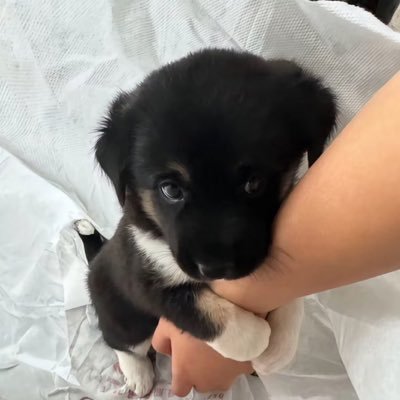 vvlauvv's profile picture. °❀⋆.ೃ࿔*:･ • duo @shxdow_w