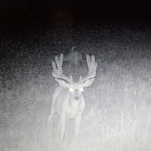 Daves762x51's profile picture. Happily MARRIED, USN Veteran (Shellback), FireMan/EMT-I, Machinist, Unvaxed Pure Blood, MAGA, Anti-globalist, Anti-demorat/communist, Anti-DEI, Gen-X.