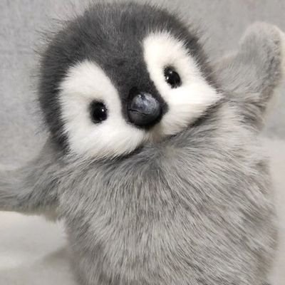 beeyoutifuw's profile picture. account gaw hunter