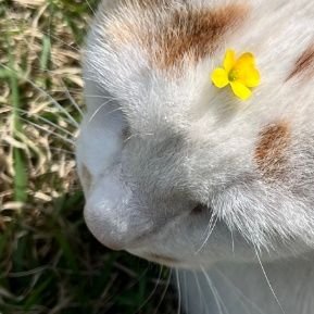 kWKtEi191u5312's profile picture. ▷◀︎ ✦︎   🪽