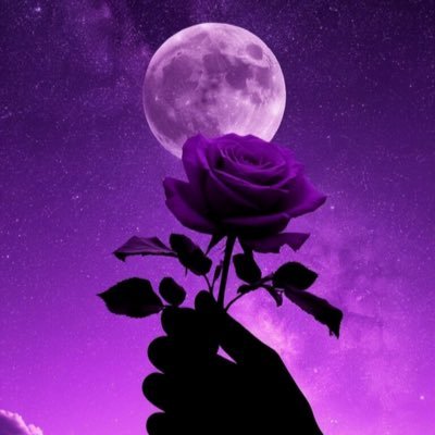 JuanSanchez208's profile picture. 