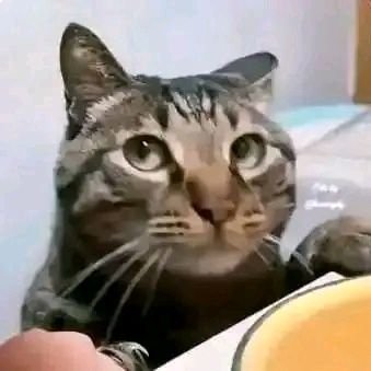 AzeyCry's profile picture. what is decentralization