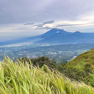 spalingberisiki's profile picture. 