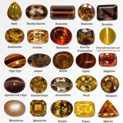 BrindleCook ⚡️🇺🇸🫥🤡 Profile