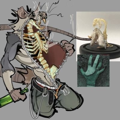 Imnotoheraccoon's profile picture. 