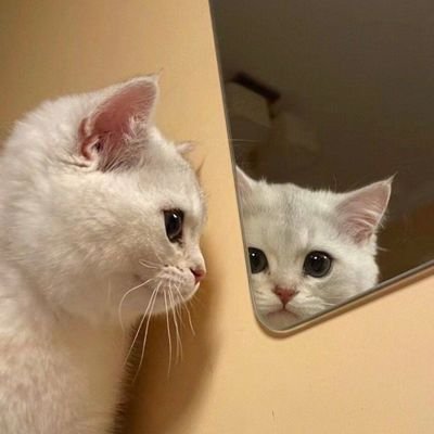 Wise_websss's profile picture. Not from earth 🌎