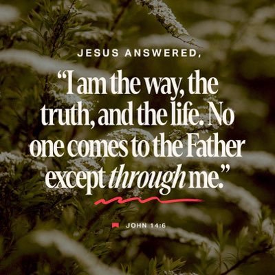 emmaus18's profile picture. Christian Dispensationalist Constitutional Conservative ZionistStandWith🇮🇱 EndAbortionIVF SurogacyEuthanasia SupportTroopsLEO’s Vols🍊Braves🪓 Duke🏀 Eph6:12