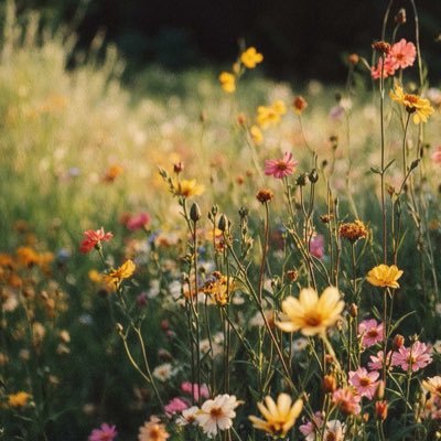 owo1402's profile picture. 🌍