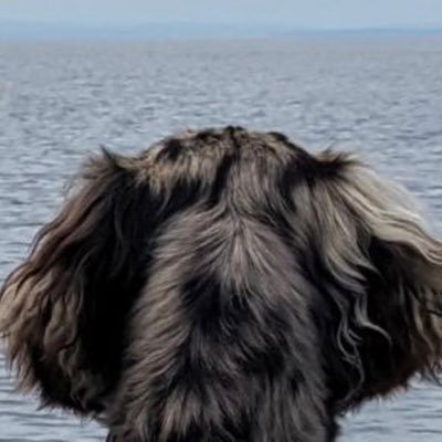 preticharlotte's profile picture. I am easygoing,open mined and I know how to treat my man happy😍🦋🍕