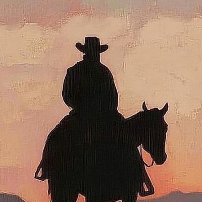 oldwesterns_'s profile picture. Creative Director / Production Manager 🌾600M+ views

✉️ DM for Business Inquiries