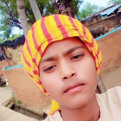 ksibejidbr81923's profile picture. 