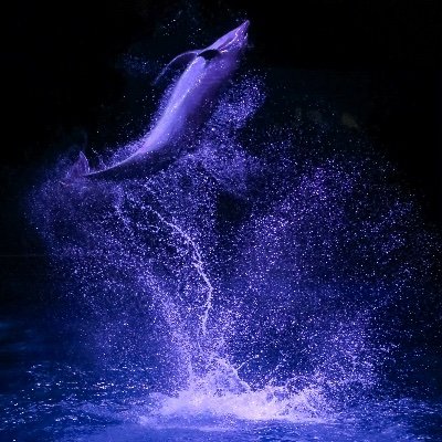 takinogawa_GAY's profile picture. 5DmarkIII / TAMRON A025